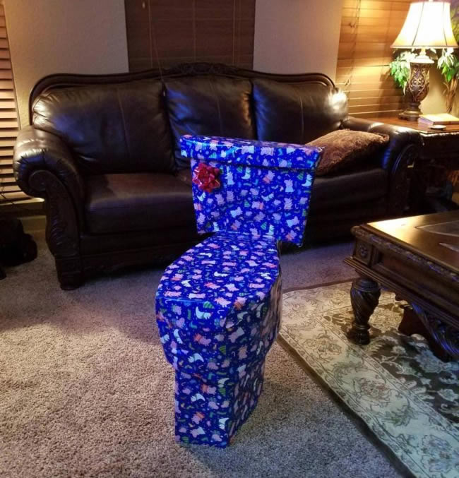 Funny photo of a nice gift wrapped very well that really leaves no doubt about its content, but what will there really be?