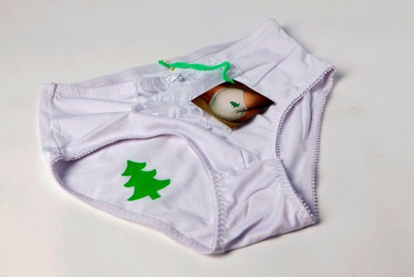 idea for a nice gift. Panties decorated for Christmas