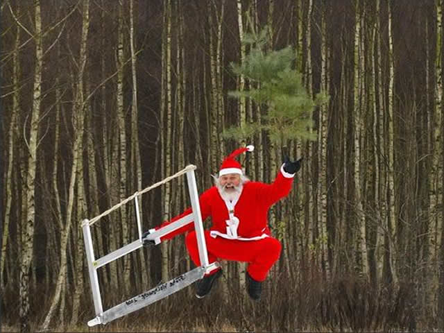 A funny photo with Santa Claus who cut a Christmas tree and jumps for joy