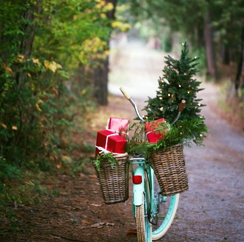Christmas image with a bicycle carrying a Christmas tree and gifts.