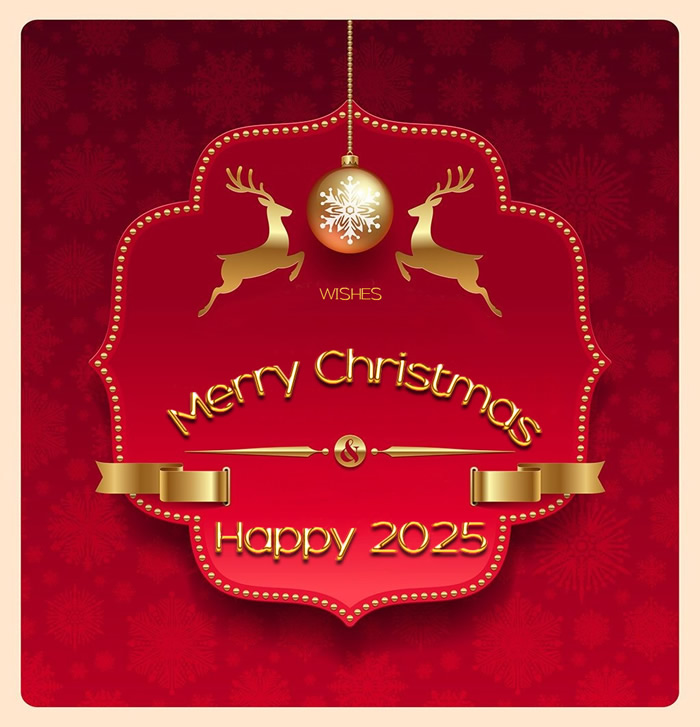Elegant image greetings from colleagues, professionals, customers and companies. Written in gold greetings for a Merry Christmas and a happy year 2025 with Christmas symbols