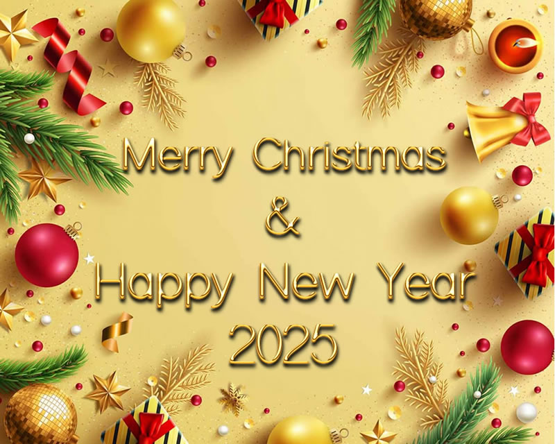 the image wishes with the text I wish 2025 was a year full of intense joys and lasting happiness.