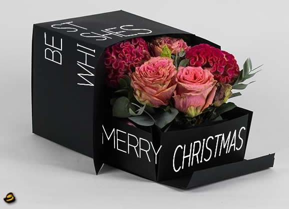 Image with red roses for romantic Merry Christmas greetings