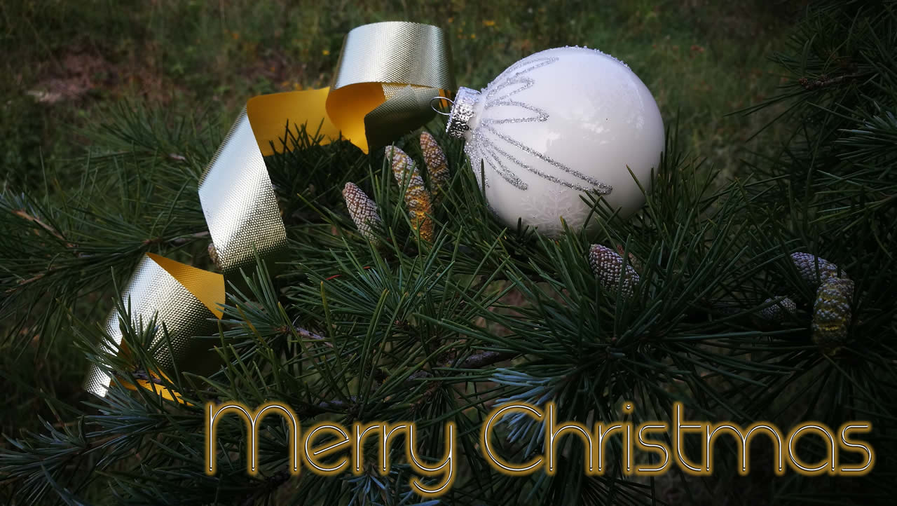 Photo with text Merry Christmas with bauble and fir branch with small pine cones.