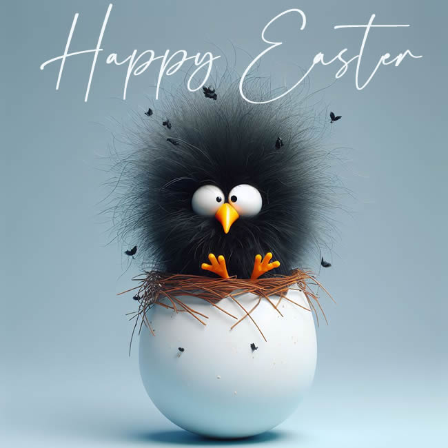 Funny easter image with a very furry black chick on top of an easter egg